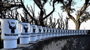 Personalized Wedding Gifts South Africa – Custom Engraved